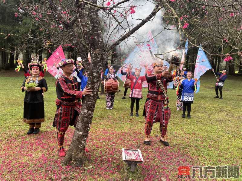 九族櫻花祭啟動 六千株櫻花接力綻放 夜舞祭火舞點燃春夜